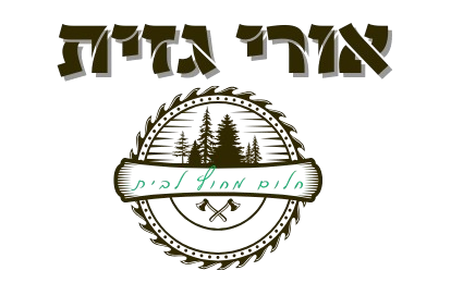 אורי גזית